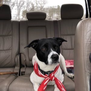 Meet your Posher, Kerry